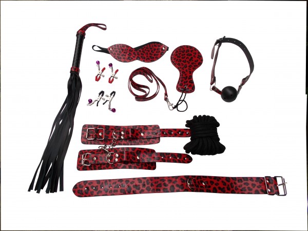 BDSM Set aus PVC für Einsteiger und Neugierige - SM Spielzeug