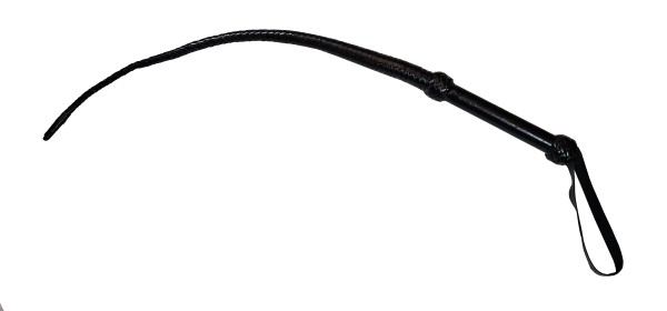 Single Tail aus Leder -schwarz- smartes BDSM Toy