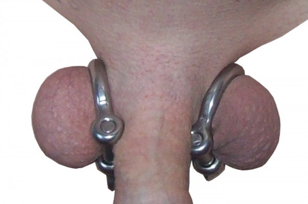 Hoden Bondage ❘ Hodenklemme Fessel aus Metall ❘ Fetisch BDSM Toy